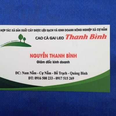Địa chỉ bán cà gai leo chữa viêm gan virus tại Quận thủ Đức - Hồ Chí Minh