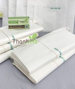 Bao bì túi giấy Thanh Hà chuyên bao xoài độ bền cao kích thước 20x30cm