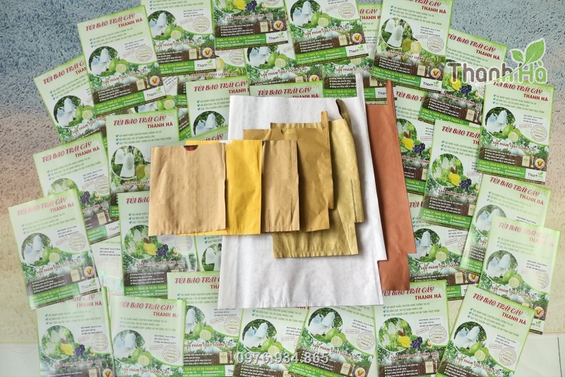 Công ty cung cấp các loại túi giấy bao trái đa dạng về kích thước và mẫu mã