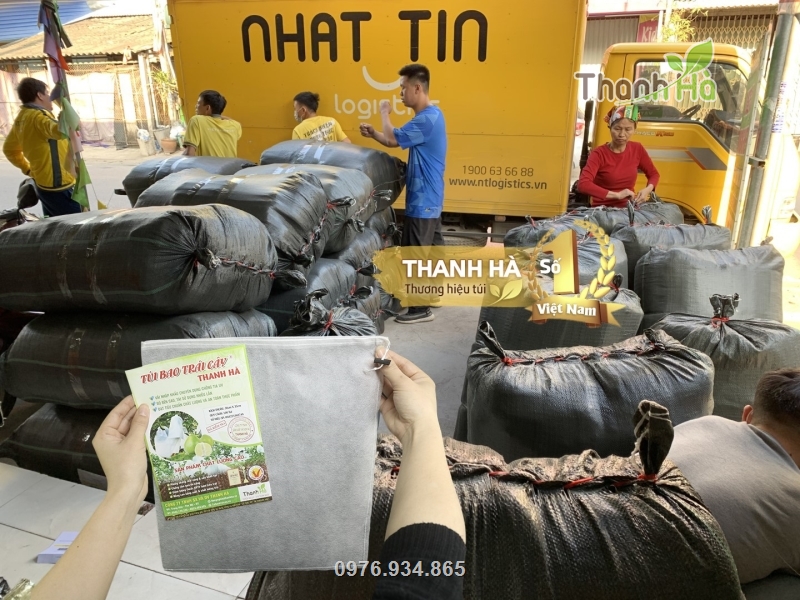 Cty xuất số lượng lớn túi bao trái cho khách hàng trên toàn quốc