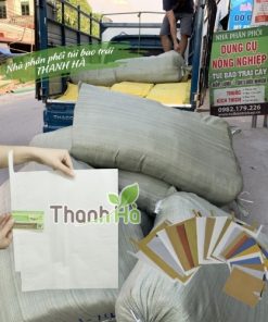 Túi bao trái nho Thanh Hà chất liệu giấy sáp trắng kích thước 30x35cm