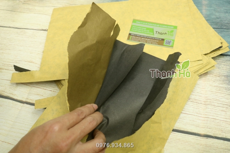 Túi 2 lớp, lớp giấy bên ngoài pha nilon chống thấm nước, lớp bên trong màu đen