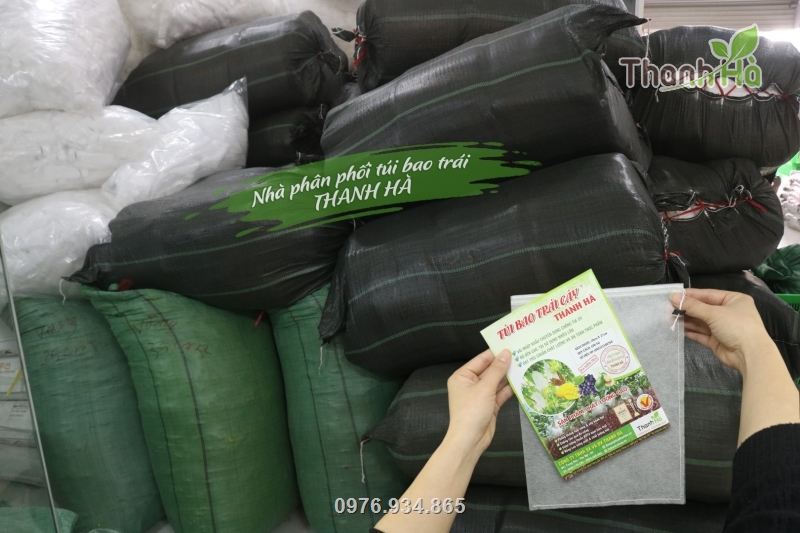Công ty Thanh Hà trực tiếp sản xuất túi vải bao trái lớn nhất miền Bắc