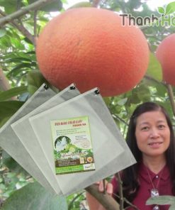 Sản xuất Túi trùm trái cây, Bao bọc trái cây Thanh Hà chất lượng cao kích thước 25x30