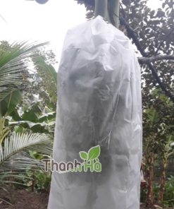 Túi bọc buồng chuối độ bền cao thương hiệu Thanh Hà kích thước 60x100cm