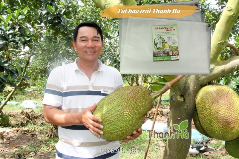 Túi dùng để bao giống mít Thái mang lại hiệu quả bảo vệ trái tốt