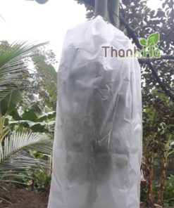 Túi chùm buồng chuối Thanh Hà chất lượng cao kích thước 60x100cm