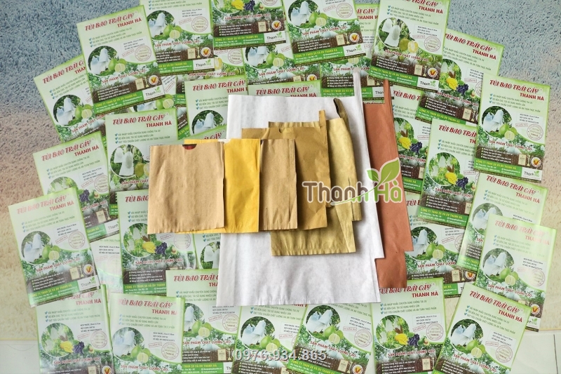 Thanh Hà cung cấp các loại túi giấy bao trái đa dạng về mẫu mã và kích thước