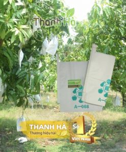 Túi giấy đựng hoa quả Đài Loan kích thước 22x34cm màu trắng