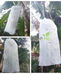 Túi vải bao chuối kích thước 60x100cm thương hiệu Thanh Hà